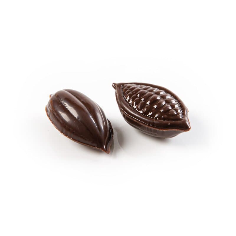 Fève de cacao 2x3,8 cm