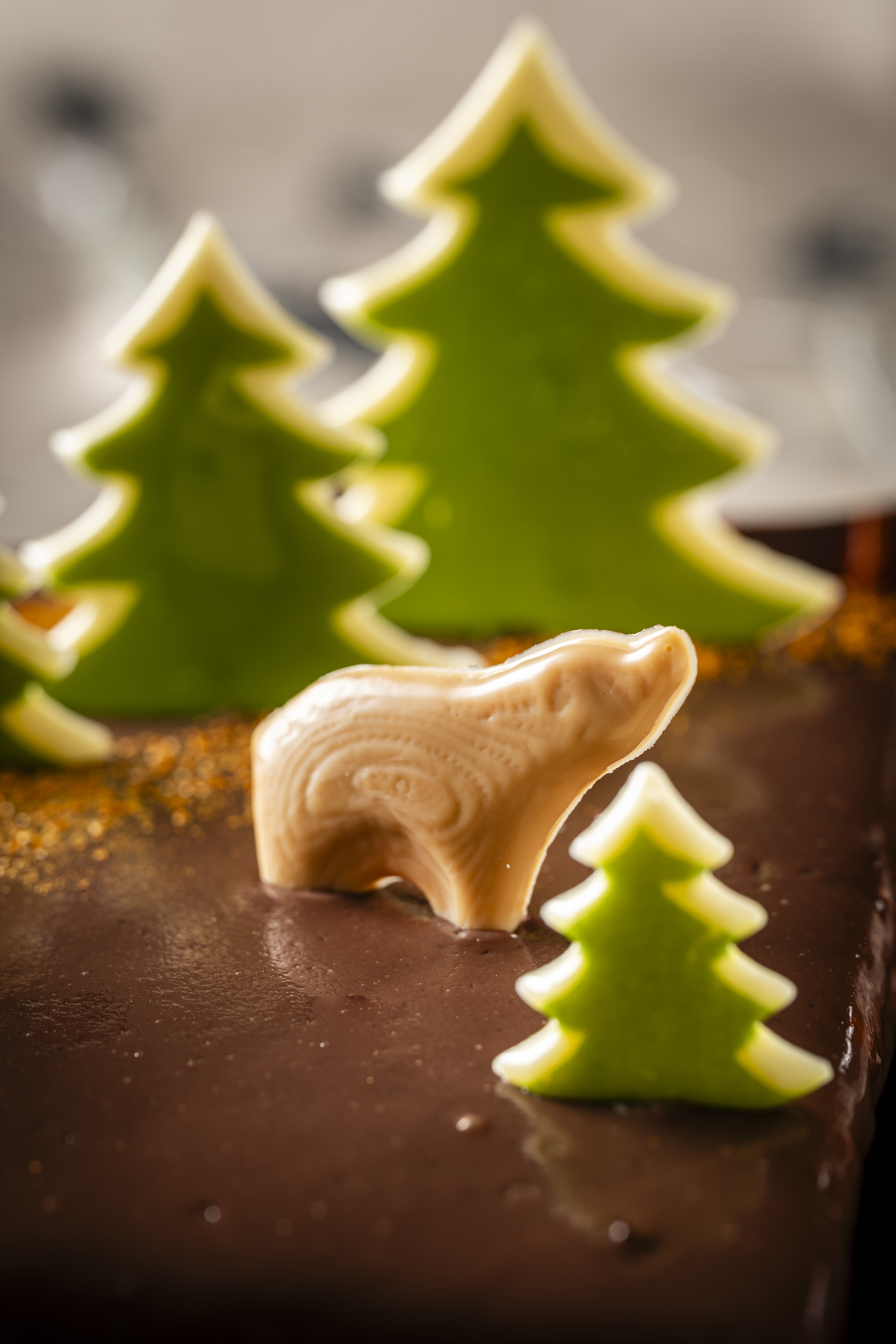 Afficher l'image n°1