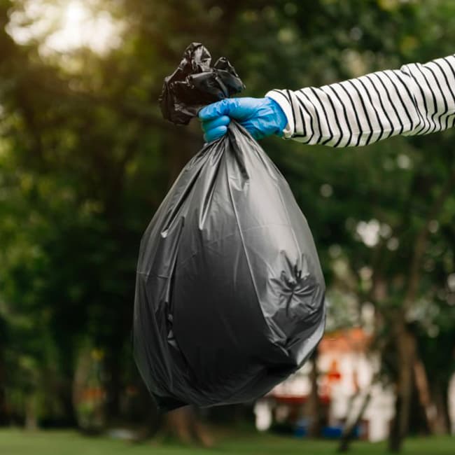 Afficher l'image n°1