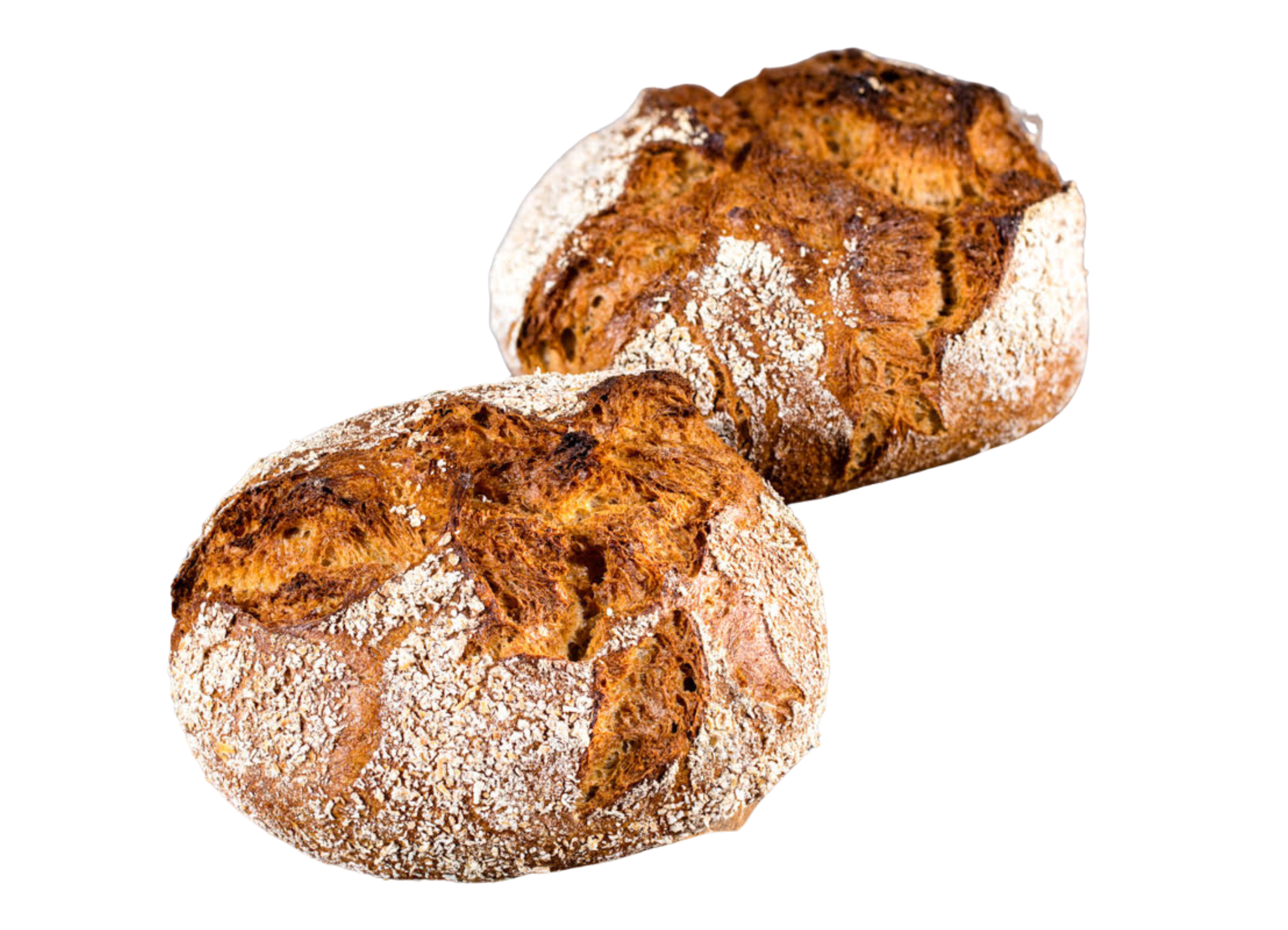 Mélange bio pour la confection de pain aux céréales ancestrales (amidonnier sauvage bio, petit épeautre bio)