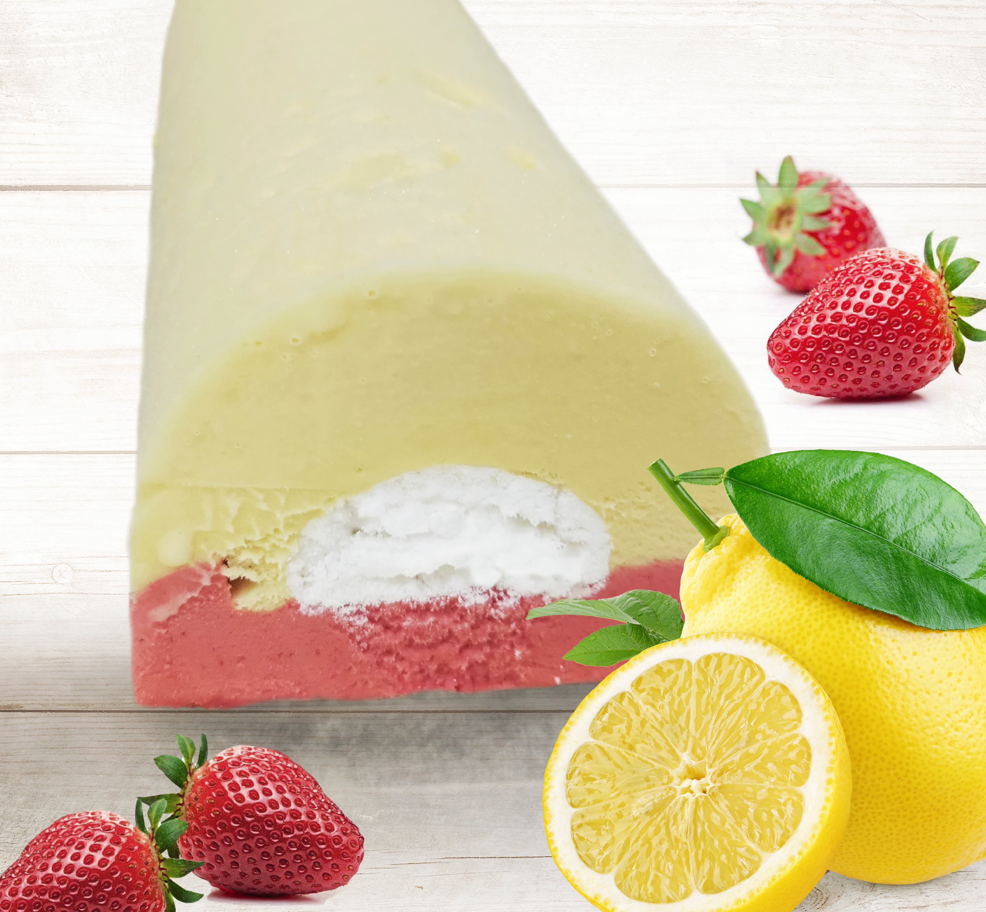 Bûches glacées Fraise Citron - lot de 2 gouttières