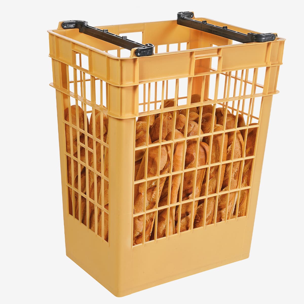 Afficher l'image n°1