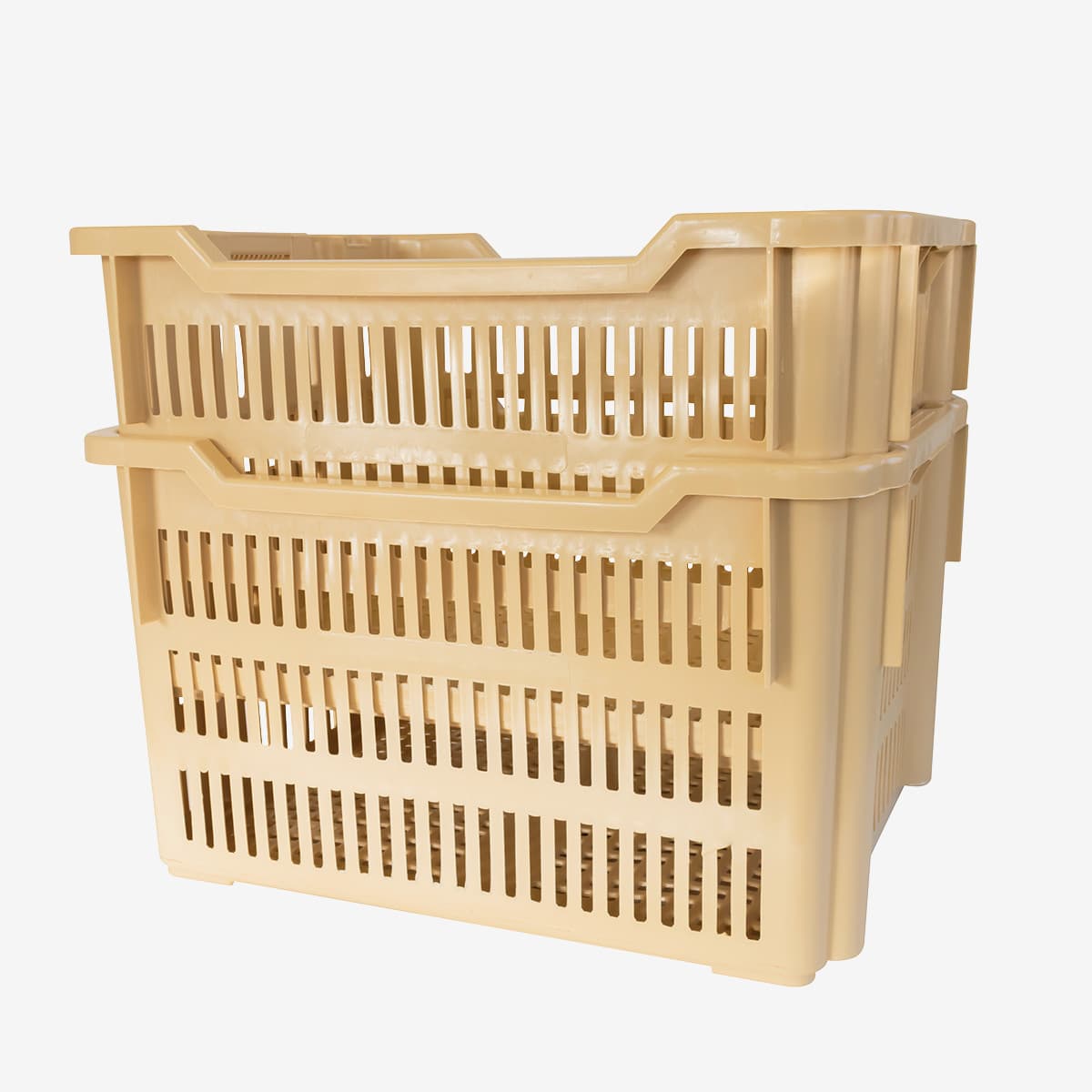 Afficher l'image n°2