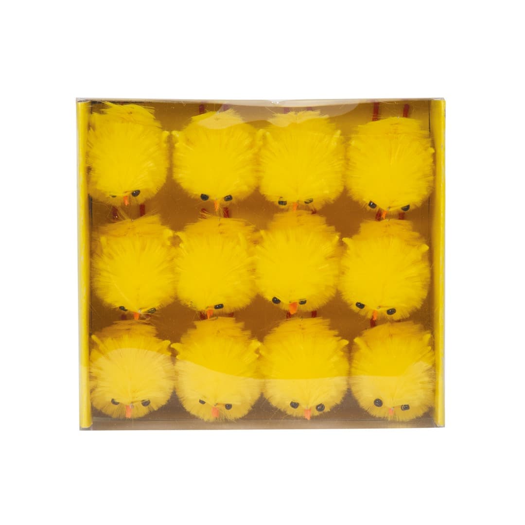 Afficher l'image n°1