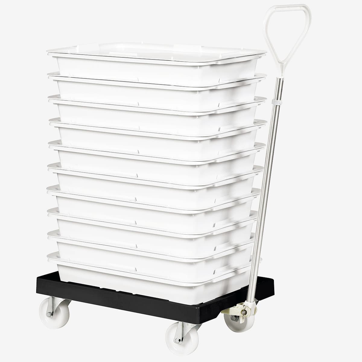 Afficher l'image n°2