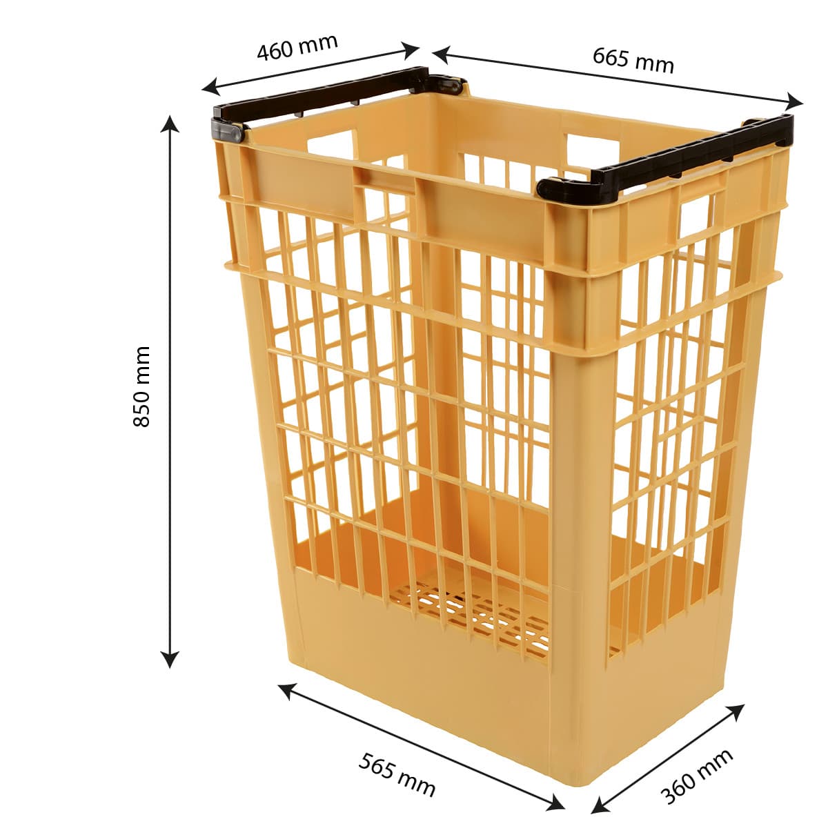 Afficher l'image n°2