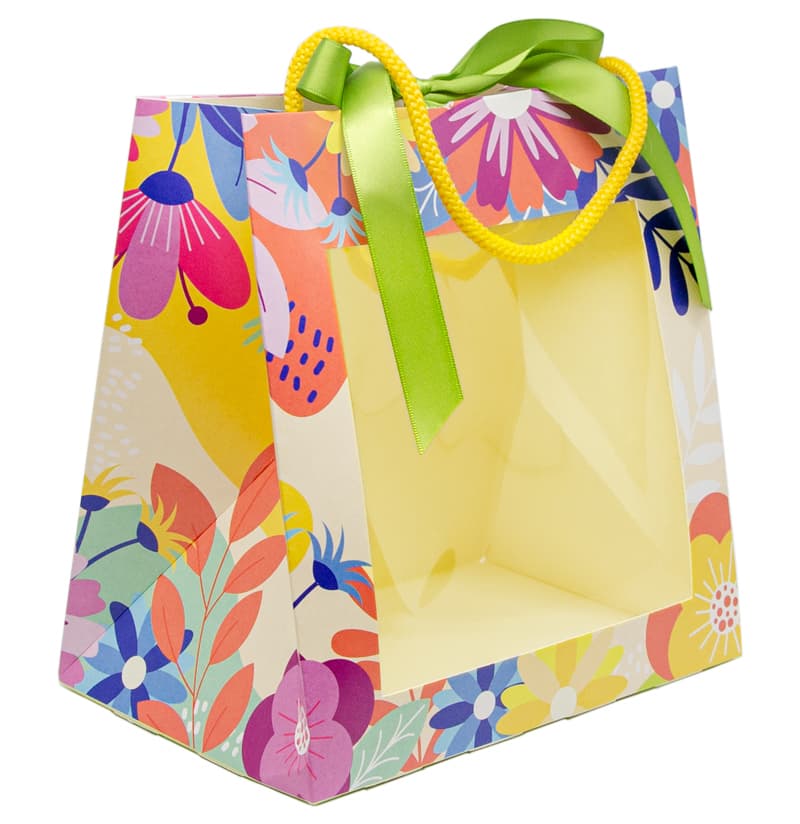 Sac carton avec fenêtre 220x120x280 mm x 25