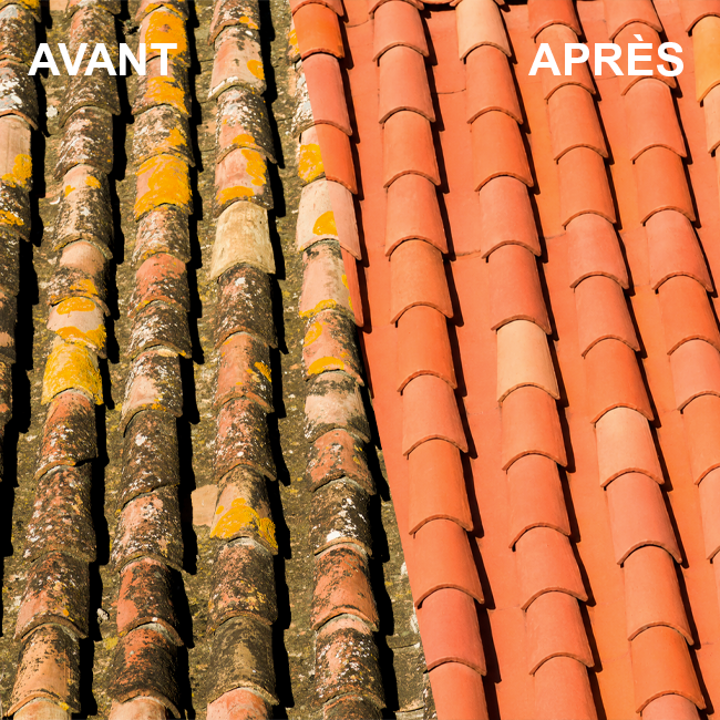 Afficher l'image n°1