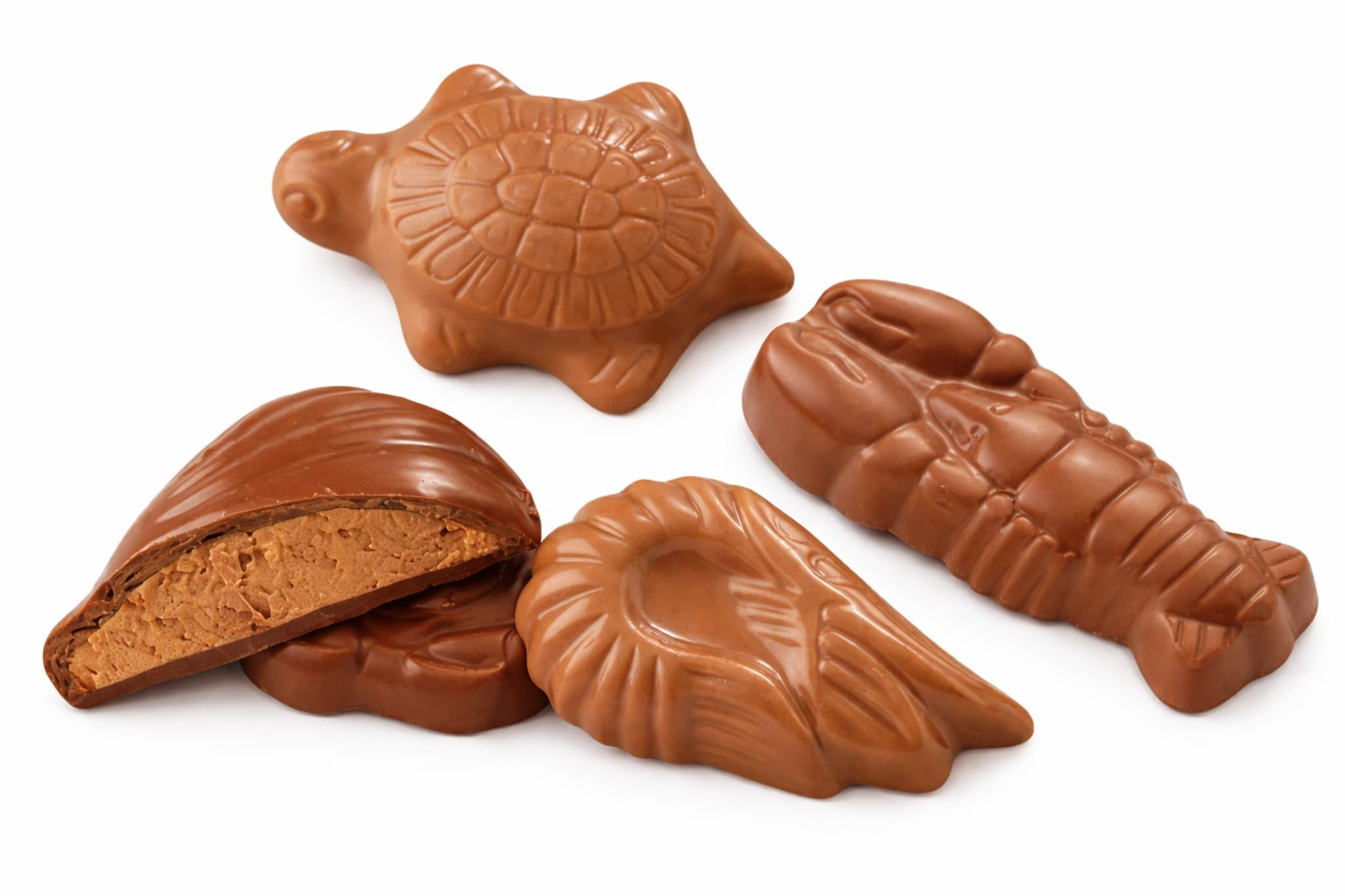 Fritures praliné ariel  chocolat au lait dupleix