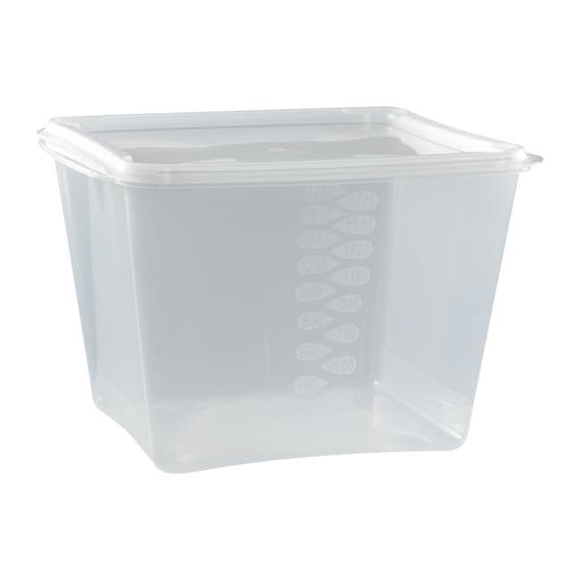 Afficher l'image n°0