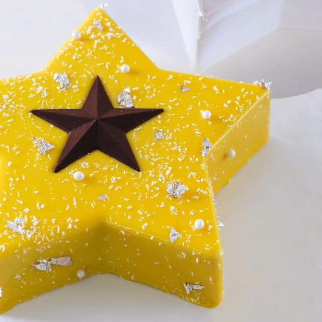 Moule à entremets pvc "étoile" x150