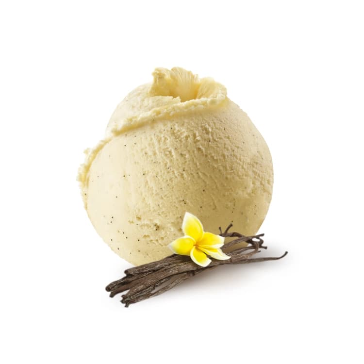 Crème glacée vanille bourbon de madagascar 2,5l