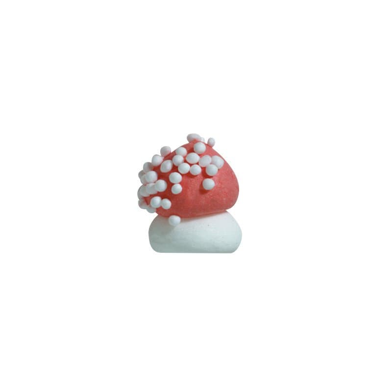 Champignon 1cm
