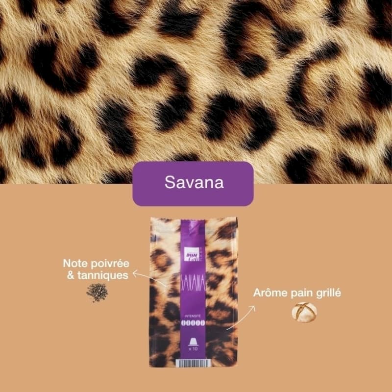 Afficher l'image n°2