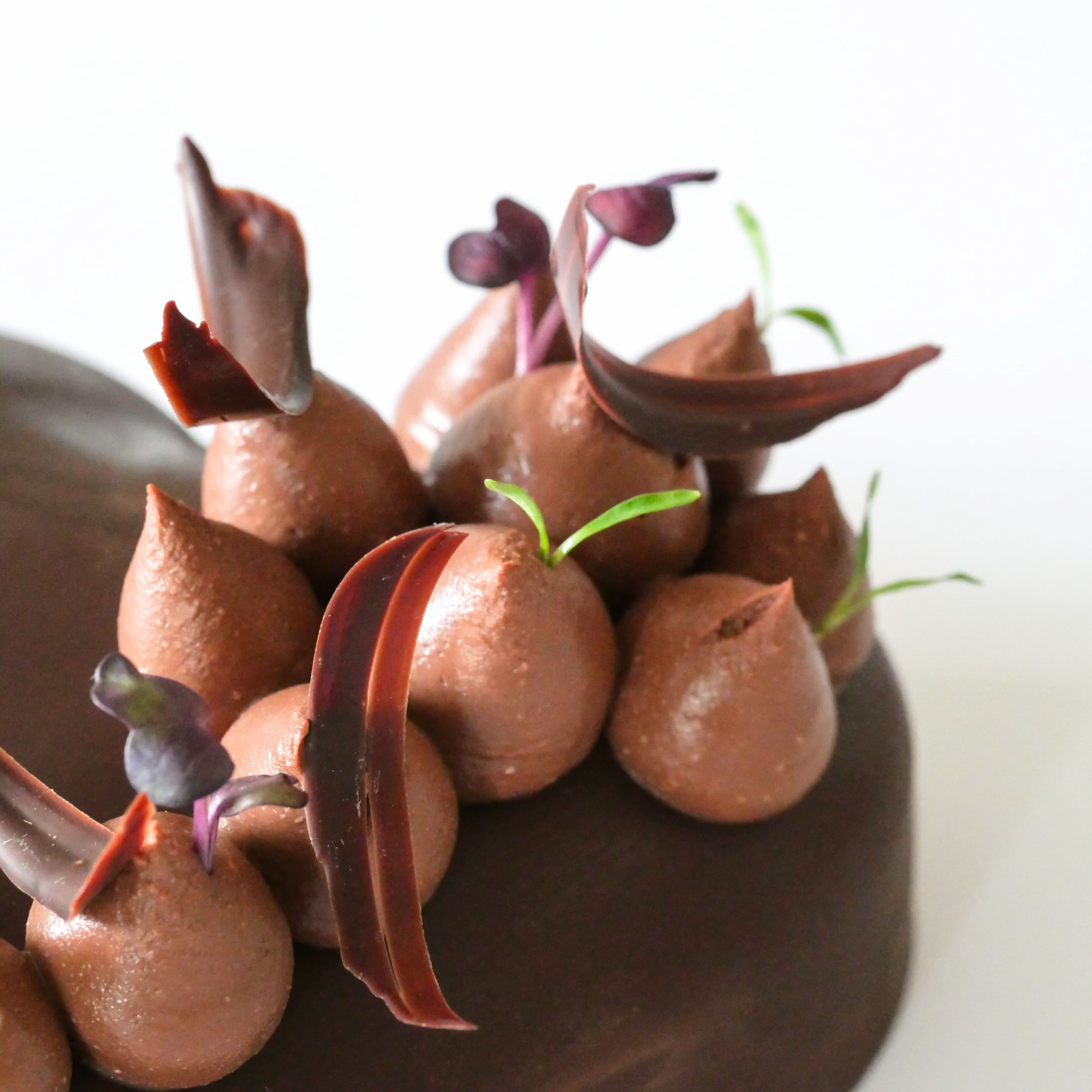 Afficher l'image n°1