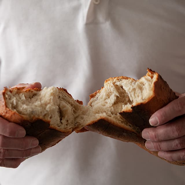 Afficher l'image n°2