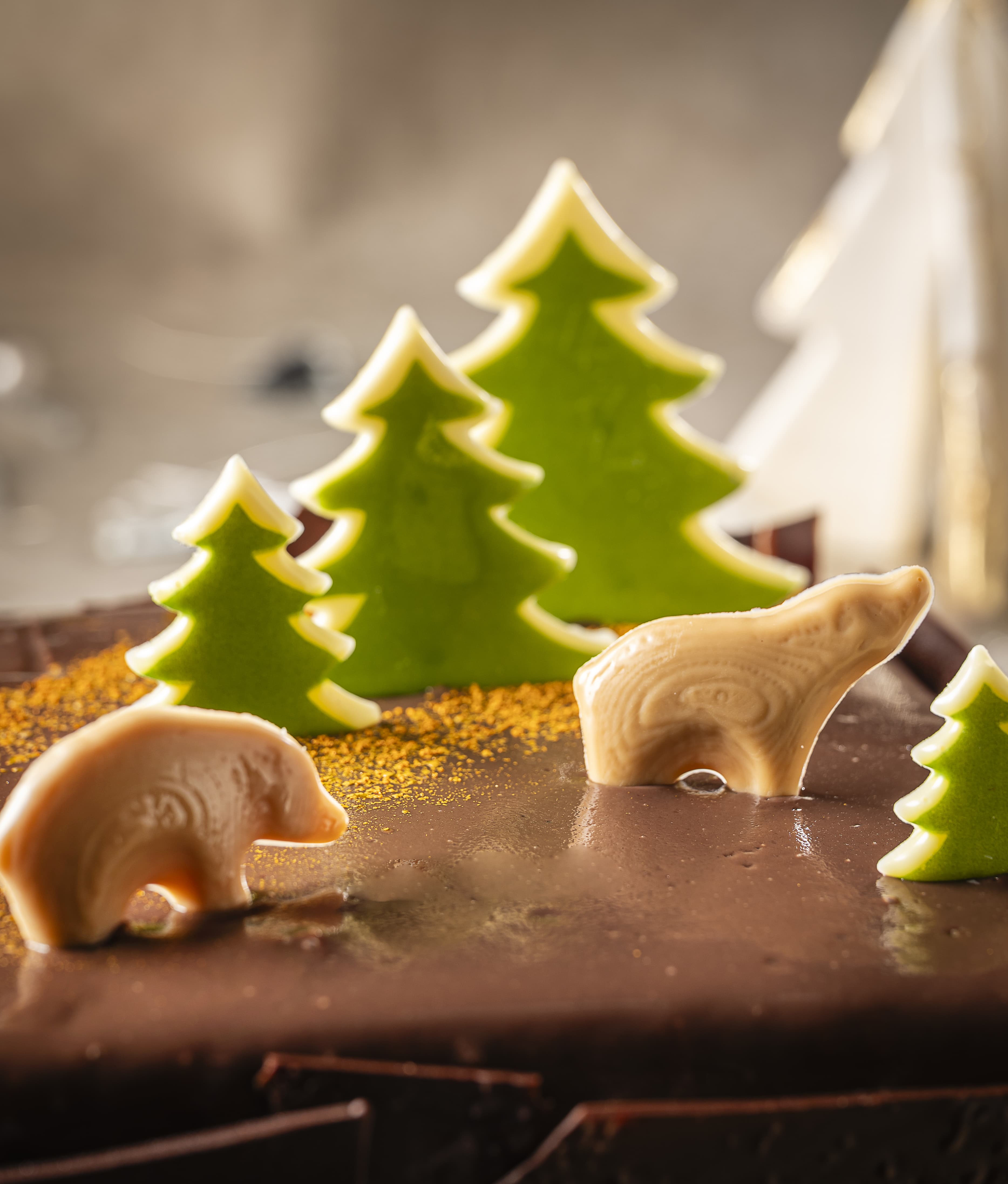 Afficher l'image n°2