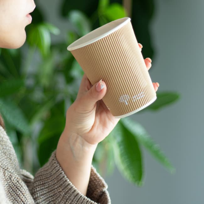 Afficher l'image n°1