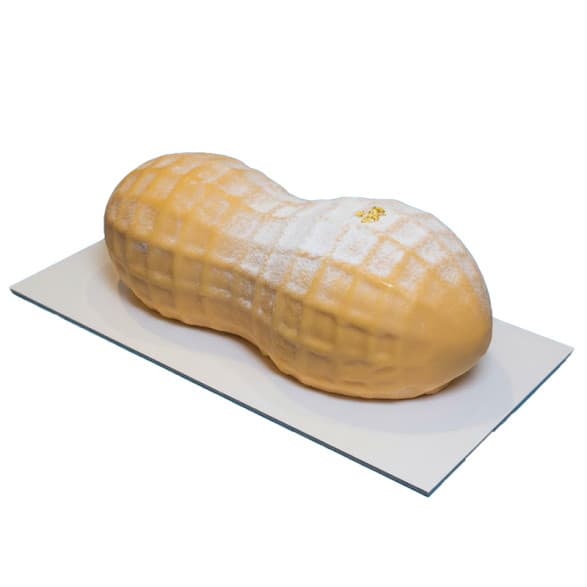 Moule silicone cacahuete xl