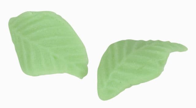 Feuille verte courbee