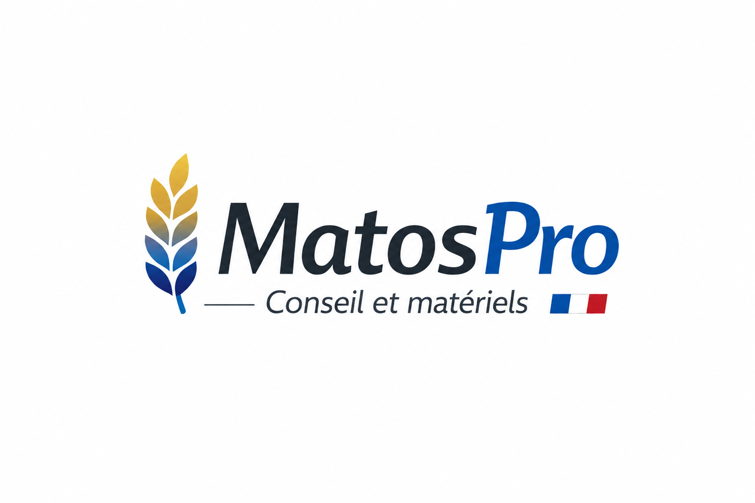 Logo matospro